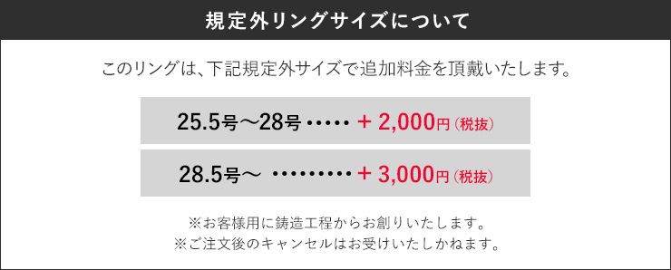 サイズアップ料金について