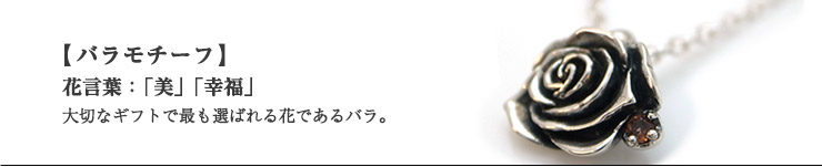 DG-081