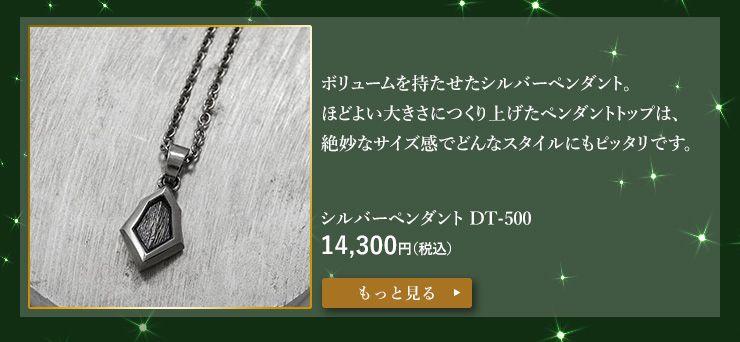 シルバーペンダント DT-500 14,300円（税込）
